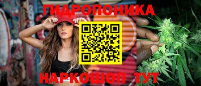 apvp Кимры