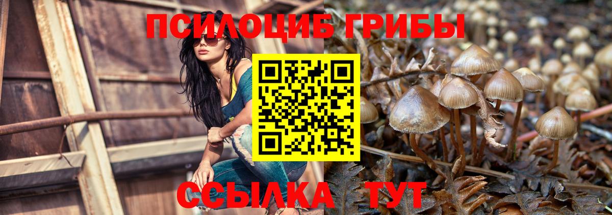 Галлюциногенные грибы Psilocybe  Вход с VPN  Заречный  Галлюциногенные грибы Magic Shrooms 